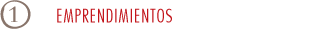 EMPRENDIMIENTOS