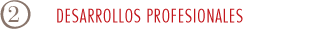 DESARROLLOS PROFESIONALES