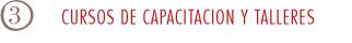 CURSOS DE CAPACITACION Y TALLERES