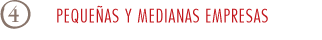 PEQUEÑAS Y MEDIANAS EMPRESAS